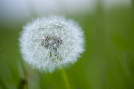 Natur - Fotografie Gudrun Schwarz