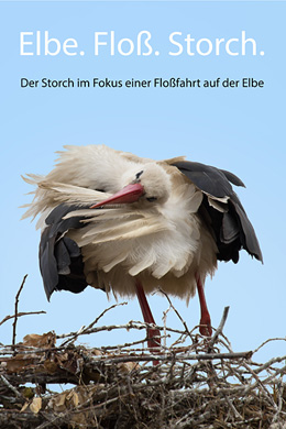 Störche - Fotografie Gudrun Schwarz