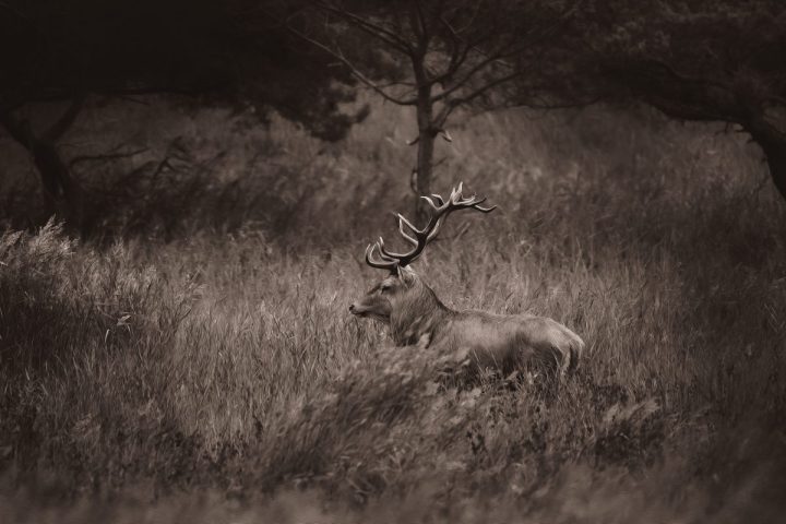 20241001- 6M20023-Bearbeitet-2-Bearbeitet-Bearbeitet